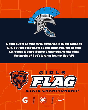 Bears State cover