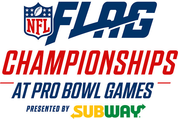 NFL Logo