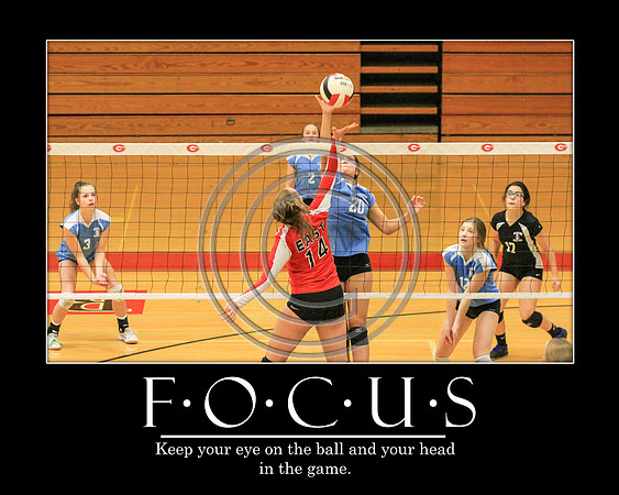 F.O.C.U.S