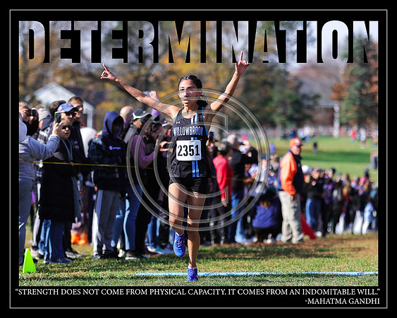 Determination